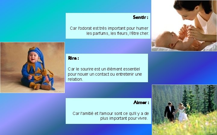 Sentir : Car l'odorat est très important pour humer les parfums, les fleurs, l'être