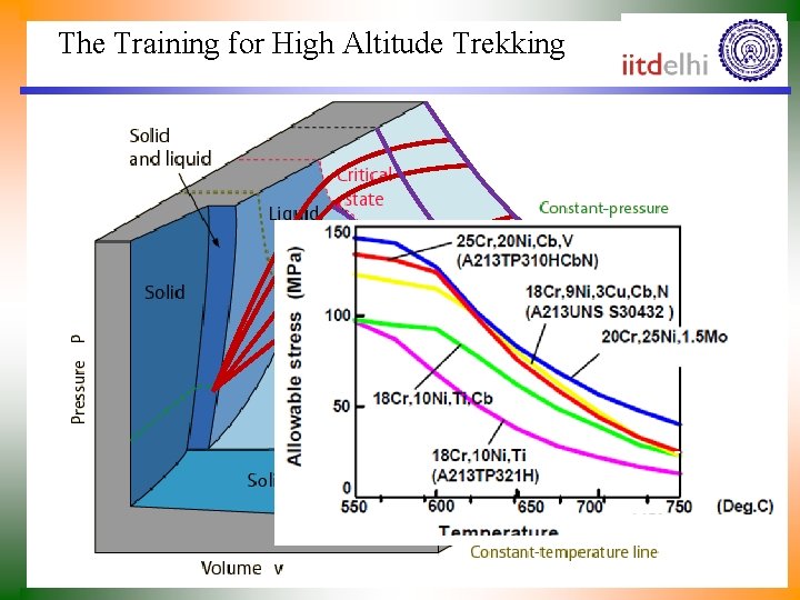 The Training for High Altitude Trekking 