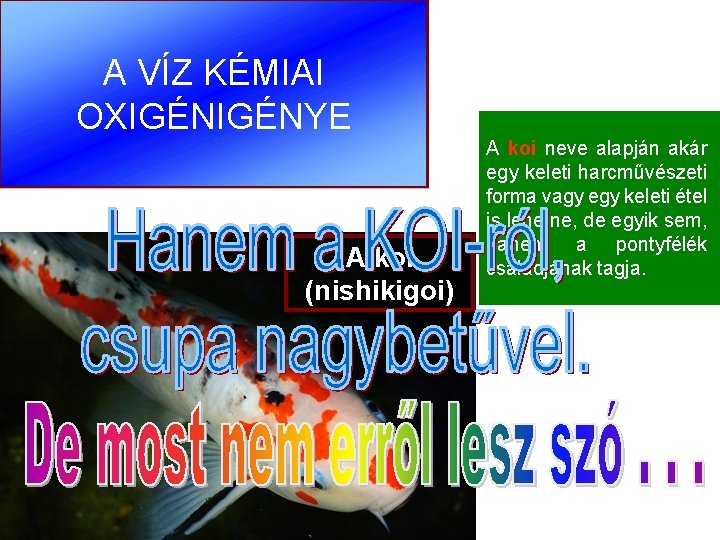 A VÍZ KÉMIAI OXIGÉNYE A koi (nishikigoi) A koi neve alapján akár egy keleti A VÍZ KÉMIAI OXIGÉNYE A koi (nishikigoi) A koi neve alapján akár egy keleti