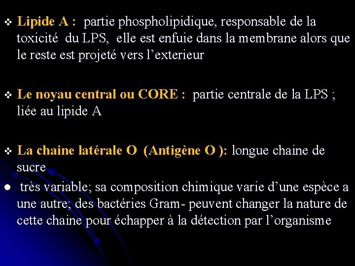 v Lipide A : partie phospholipidique, responsable de la toxicité du LPS, elle est