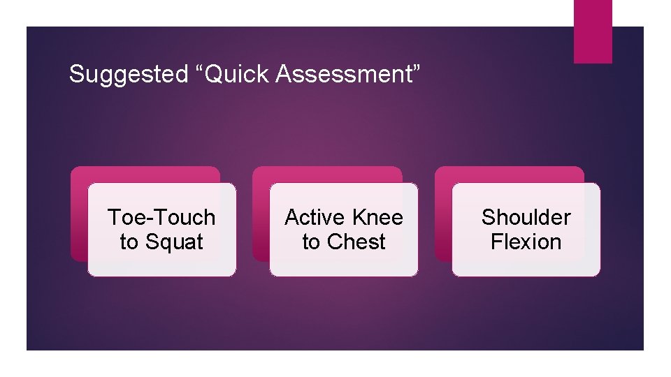 Suggested “Quick Assessment” Toe-Touch to Squat Active Knee to Chest Shoulder Flexion 