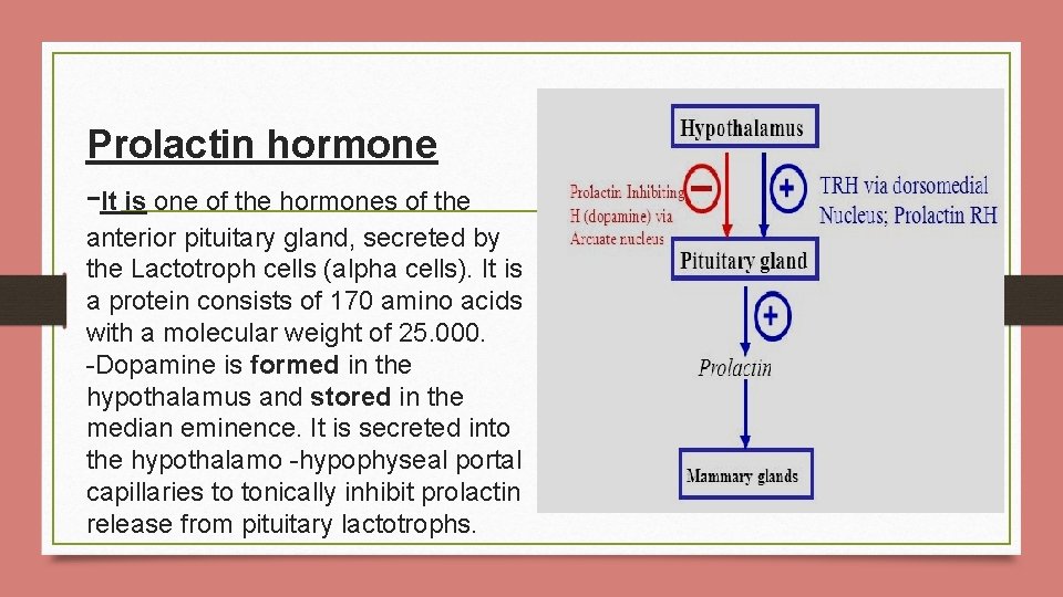 Prolactin hormone -It is one of the hormones of the anterior pituitary gland, secreted