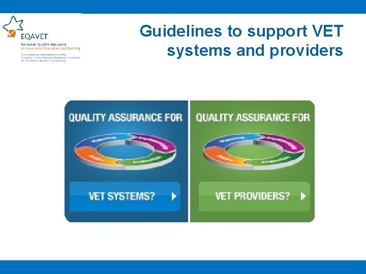 Guidelines to support VET systems and providers 