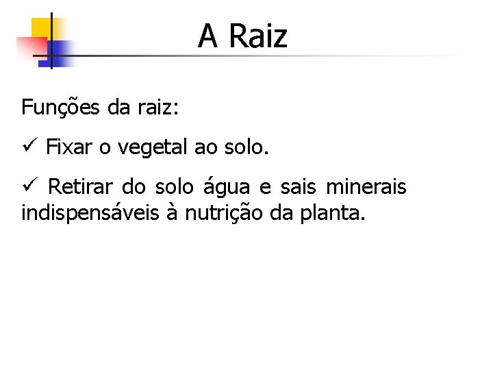 A Raiz Funções da raiz: ü Fixar o vegetal ao solo. ü Retirar do