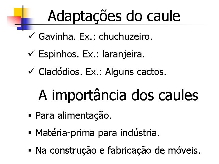 Adaptações do caule ü Gavinha. Ex. : chuchuzeiro. ü Espinhos. Ex. : laranjeira. ü