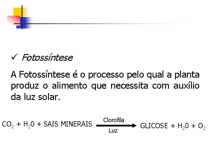 ü Fotossíntese A Fotossíntese é o processo pelo qual a planta produz o alimento