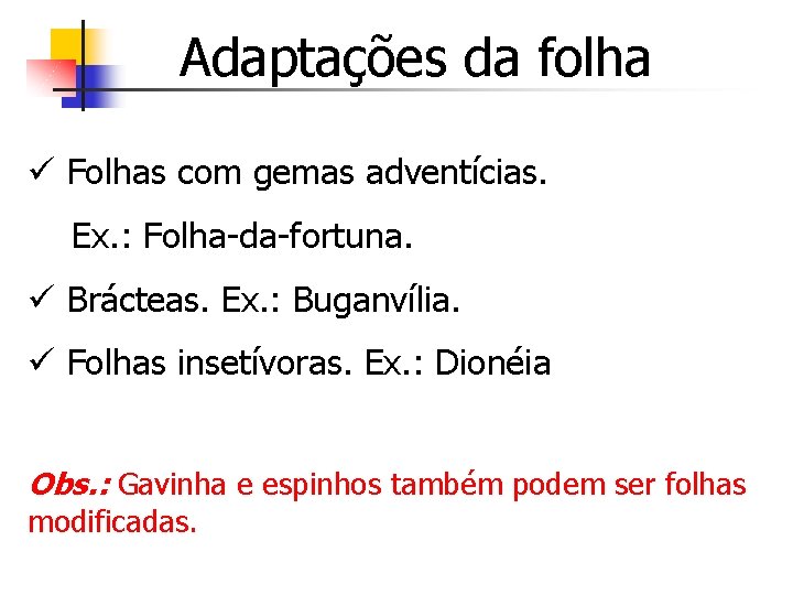 Adaptações da folha ü Folhas com gemas adventícias. Ex. : Folha-da-fortuna. ü Brácteas. Ex.