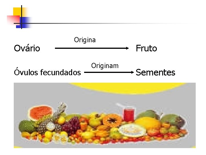 Ovário Origina Óvulos fecundados Originam Fruto Sementes 