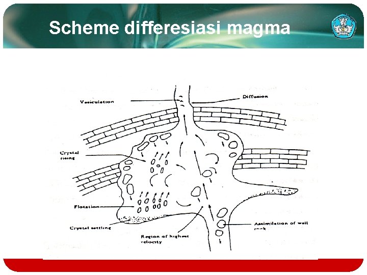 Scheme differesiasi magma 