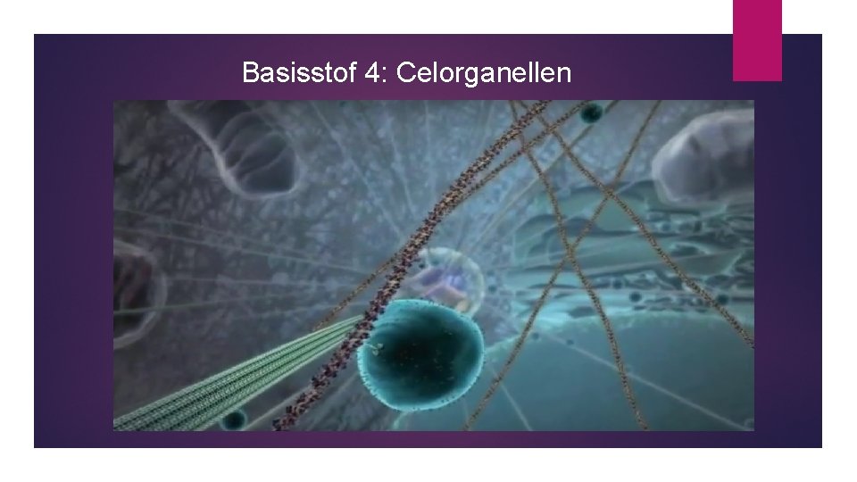 Basisstof 4: Celorganellen 