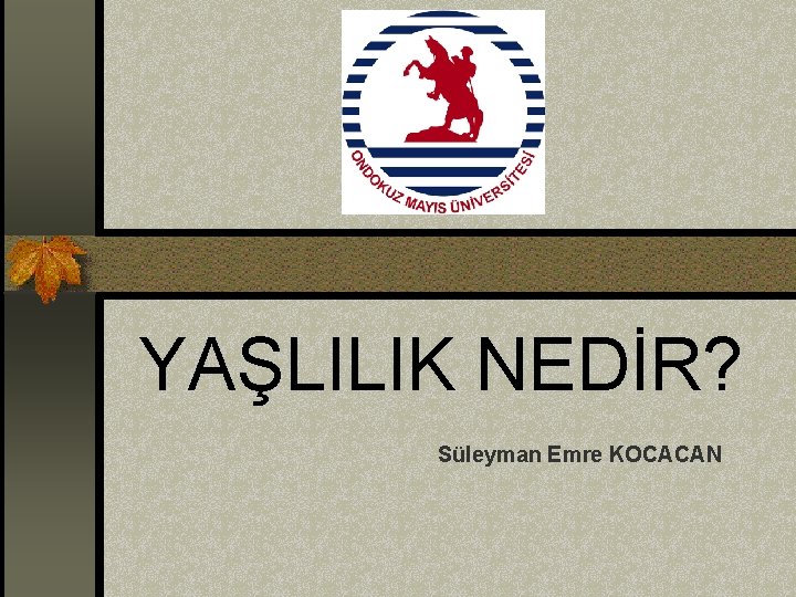 YAŞLILIK NEDİR? Süleyman Emre KOCACAN 