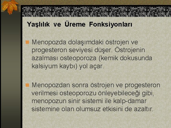 Yaşlılık ve Üreme Fonksiyonları n Menopozda dolaşımdaki östrojen ve progesteron seviyesi düşer. Östrojenin azalması