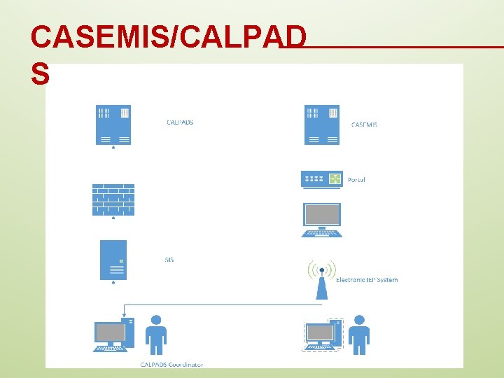 CASEMIS/CALPAD S 