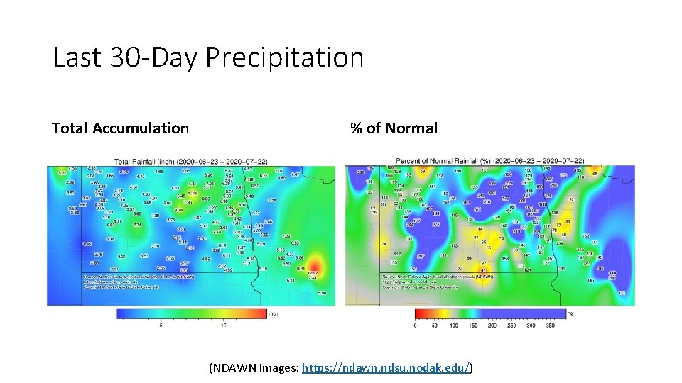 Last 30 -Day Precipitation Total Accumulation % of Normal (NDAWN Images: https: //ndawn. ndsu.