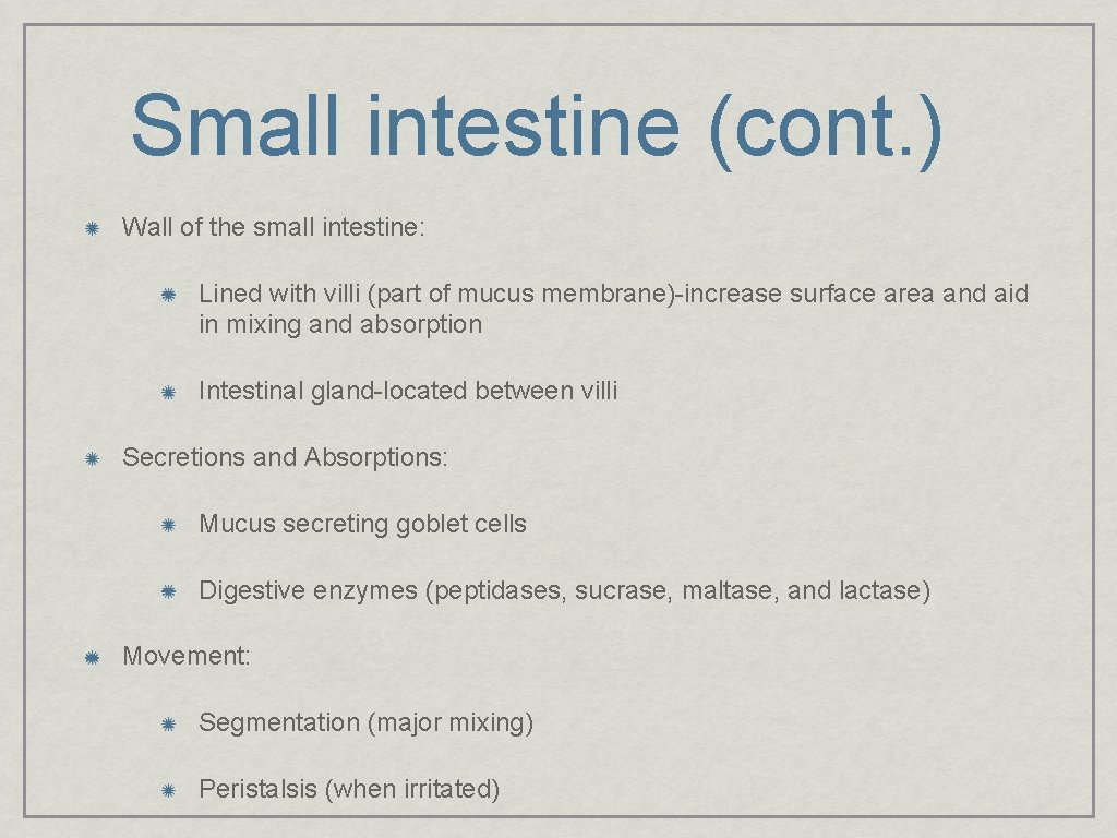 Small intestine (cont. ) Wall of the small intestine: Lined with villi (part of