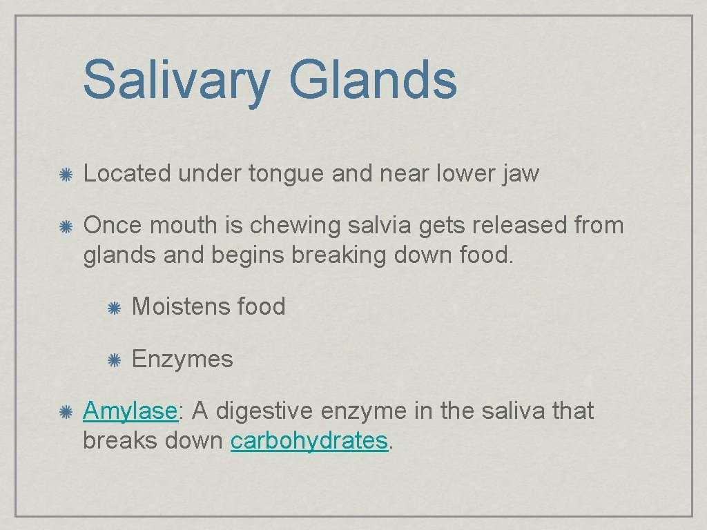 Salivary Glands Located under tongue and near lower jaw Once mouth is chewing salvia