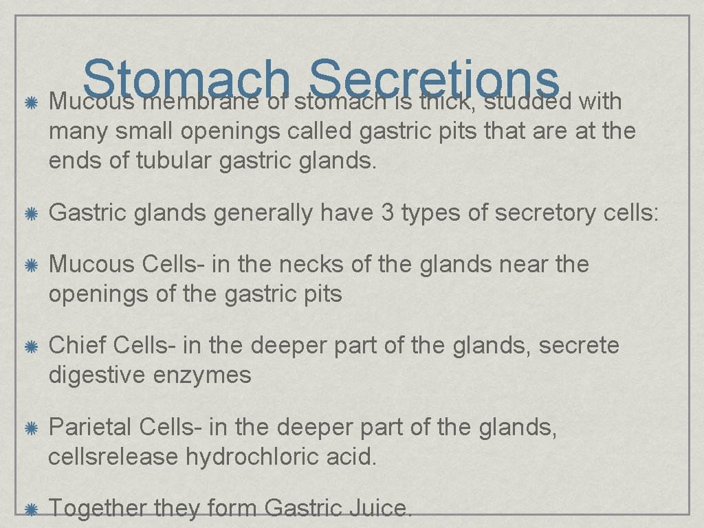 Stomach Secretions Mucous membrane of stomach is thick, studded with many small openings called