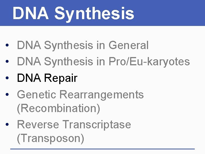 DNA Synthesis • • DNA Synthesis in General DNA Synthesis in Pro/Eu-karyotes DNA Repair