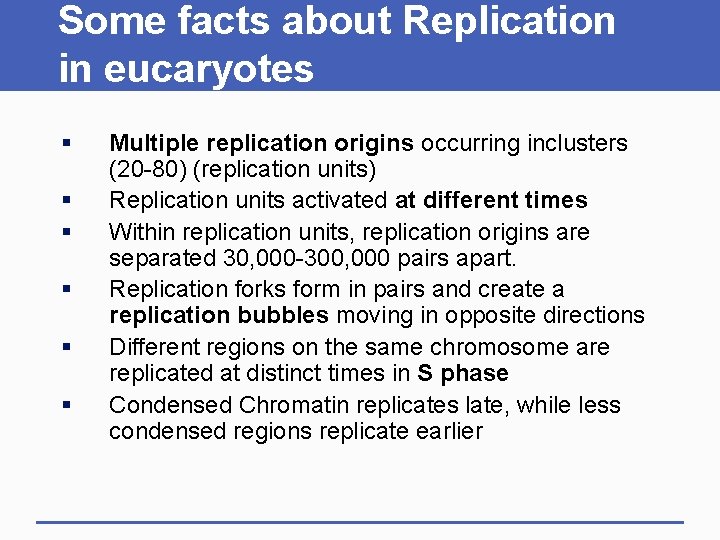Some facts about Replication in eucaryotes § § § Multiple replication origins occurring inclusters
