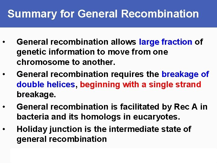 Summary for General Recombination • • General recombination allows large fraction of genetic information