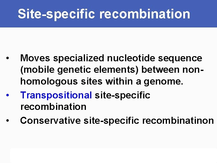 Site-specific recombination • • • Moves specialized nucleotide sequence (mobile genetic elements) between nonhomologous