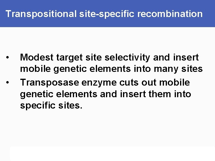 Transpositional site-specific recombination • • Modest target site selectivity and insert mobile genetic elements