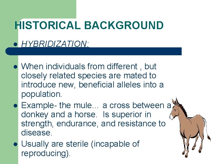 HISTORICAL BACKGROUND l HYBRIDIZATION: l When individuals from different , but closely related species