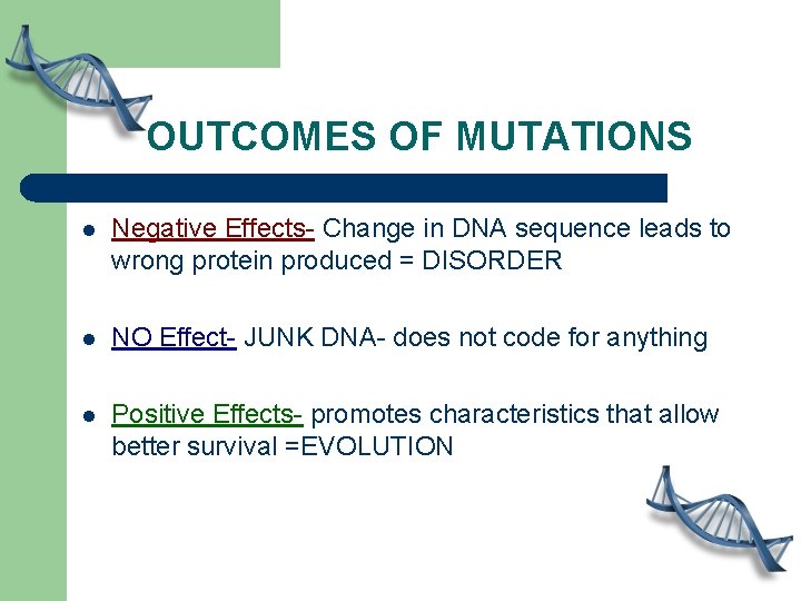 OUTCOMES OF MUTATIONS l Negative Effects- Change in DNA sequence leads to wrong protein OUTCOMES OF MUTATIONS l Negative Effects- Change in DNA sequence leads to wrong protein