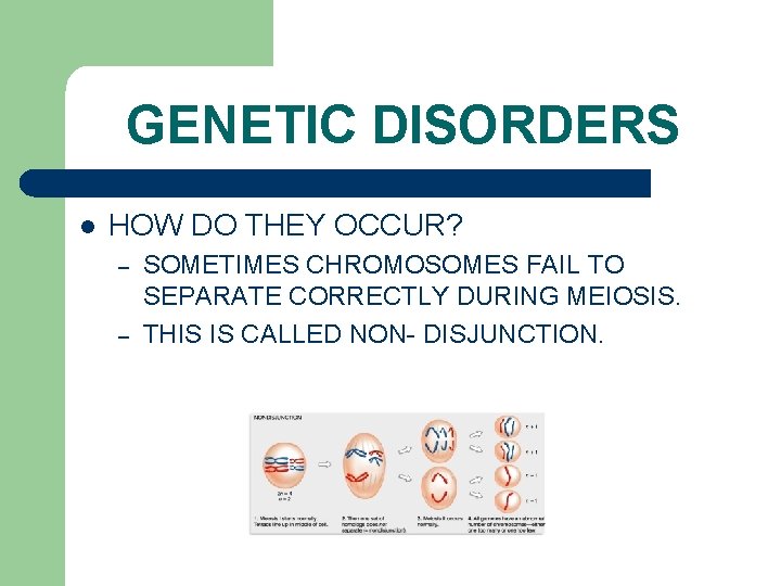 GENETIC DISORDERS l HOW DO THEY OCCUR? – – SOMETIMES CHROMOSOMES FAIL TO SEPARATE