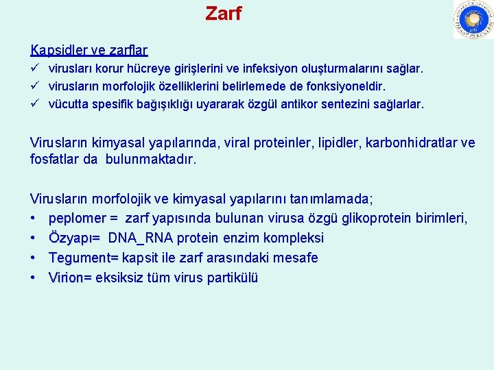 Zarf Kapsidler ve zarflar ü virusları korur hücreye girişlerini ve infeksiyon oluşturmalarını sağlar. ü