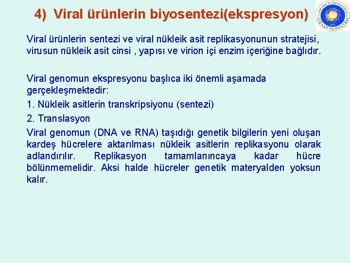 4) Viral ürünlerin biyosentezi(ekspresyon) Viral ürünlerin sentezi ve viral nükleik asit replikasyonunun stratejisi, virusun 4) Viral ürünlerin biyosentezi(ekspresyon) Viral ürünlerin sentezi ve viral nükleik asit replikasyonunun stratejisi, virusun