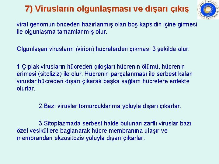 7) Virusların olgunlaşması ve dışarı çıkış viral genomun önceden hazırlanmış olan boş kapsidin içine