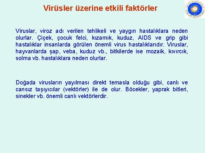Virüsler üzerine etkili faktörler Viruslar, viroz adı verilen tehlikeli ve yaygın hastalıklara neden olurlar. Virüsler üzerine etkili faktörler Viruslar, viroz adı verilen tehlikeli ve yaygın hastalıklara neden olurlar.