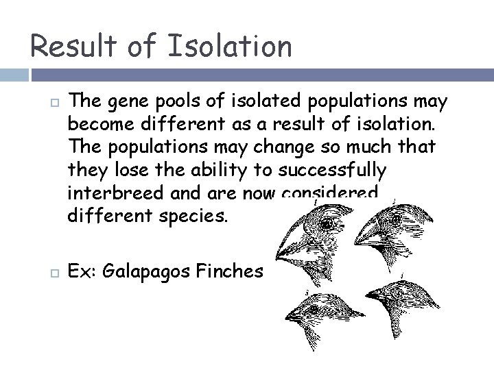 Result of Isolation The gene pools of isolated populations may become different as a