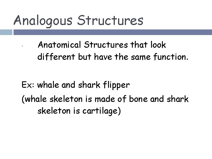 Analogous Structures • Anatomical Structures that look different but have the same function. Ex: