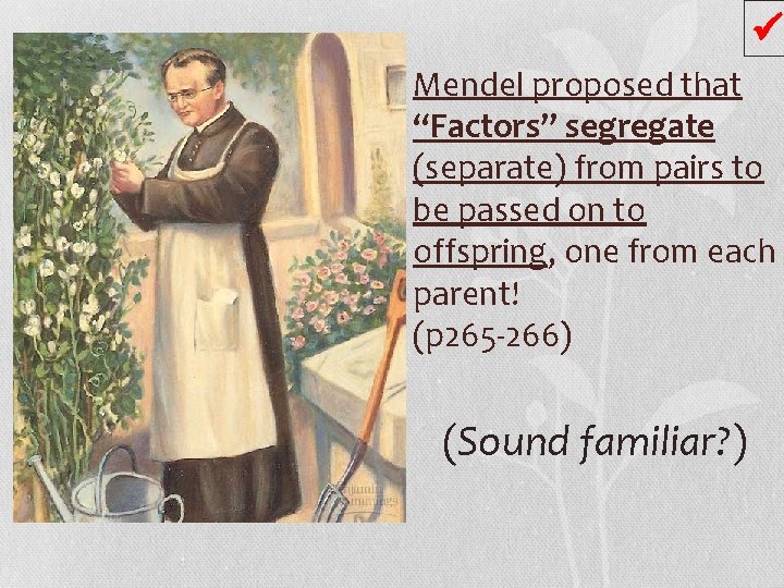  Mendel proposed that “Factors” segregate (separate) from pairs to be passed on to