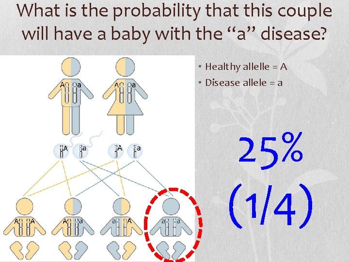 What is the probability that this couple will have a baby with the “a”
