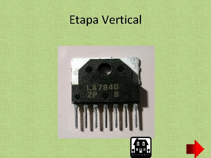 Etapa Vertical 