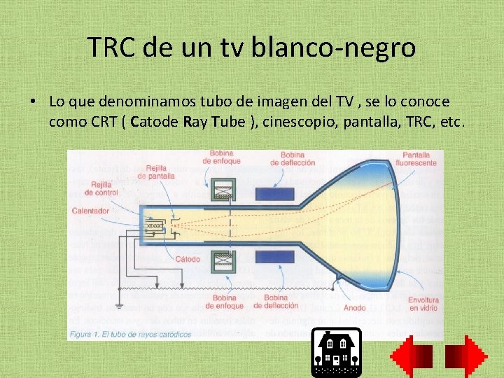 TRC de un tv blanco-negro • Lo que denominamos tubo de imagen del TV