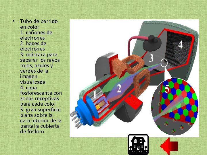  • Tubo de barrido en color 1: cañones de electrones 2: haces de