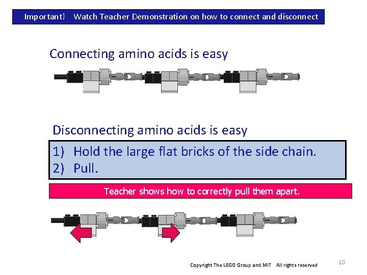 Important! Watch Teacher Demonstration on how to connect and disconnect Connecting amino acids is Important! Watch Teacher Demonstration on how to connect and disconnect Connecting amino acids is