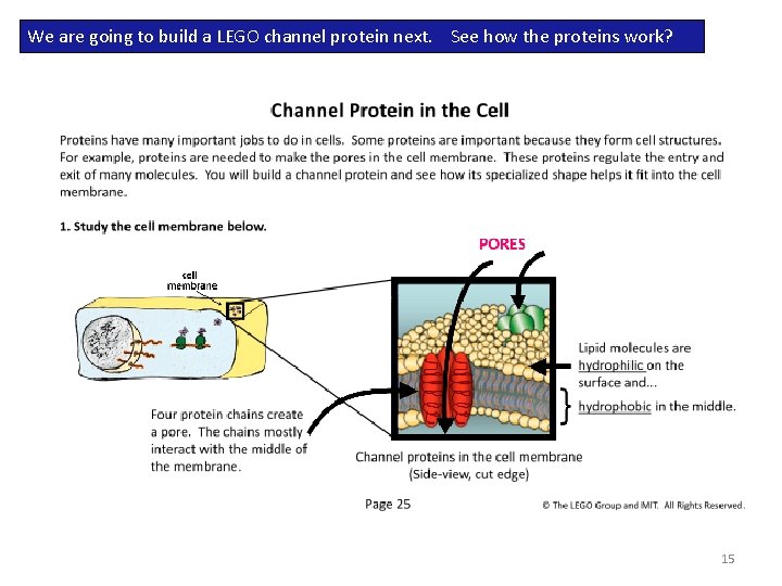We are going to build a LEGO channel protein next. See how the proteins We are going to build a LEGO channel protein next. See how the proteins
