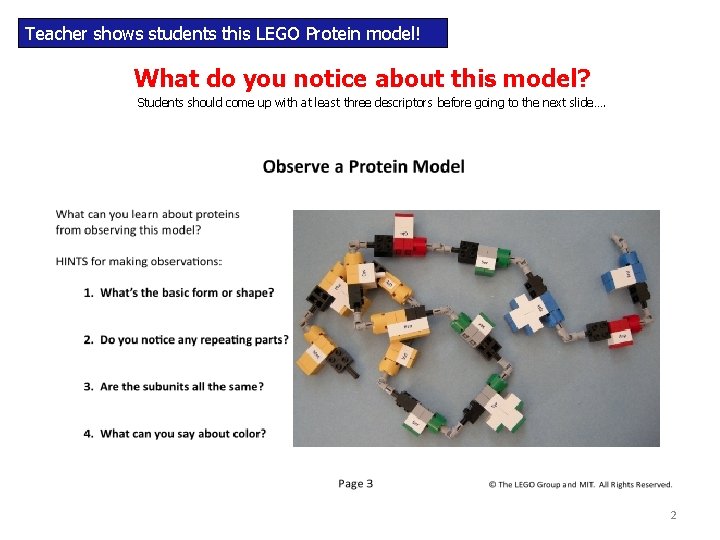 Teacher shows students this LEGO Protein model! What do you notice about this model? Teacher shows students this LEGO Protein model! What do you notice about this model?