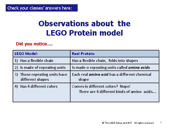 Check your classes’ answers here: Observations about the LEGO Protein model Did you notice…. Check your classes’ answers here: Observations about the LEGO Protein model Did you notice….