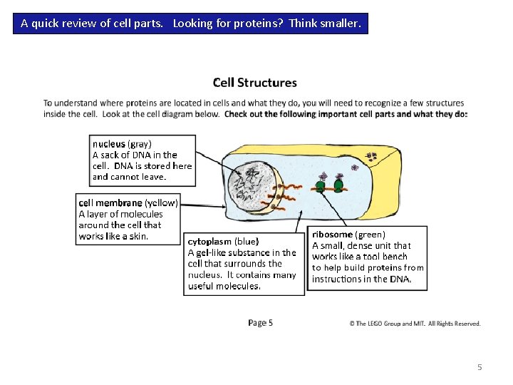 A quick review of cell parts. Looking for proteins? Think smaller. 5 A quick review of cell parts. Looking for proteins? Think smaller. 5