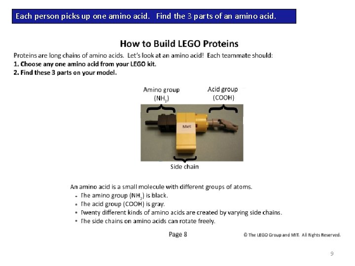 Each person picks up one amino acid. Find the 3 parts of an amino Each person picks up one amino acid. Find the 3 parts of an amino