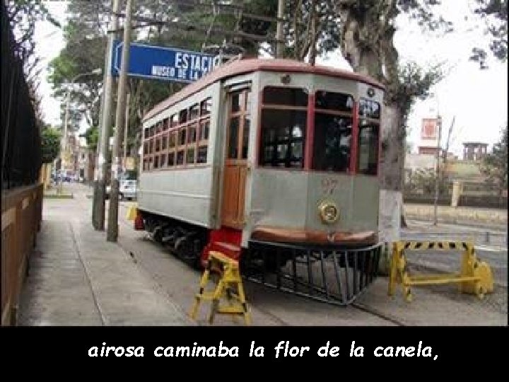 airosa caminaba la flor de la canela, 