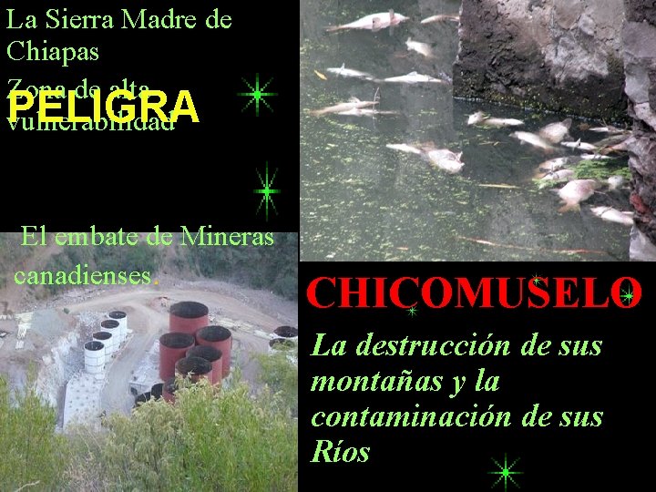 La Sierra Madre de Chiapas Zona de alta PELIGRA vulnerabilidad El embate de Mineras