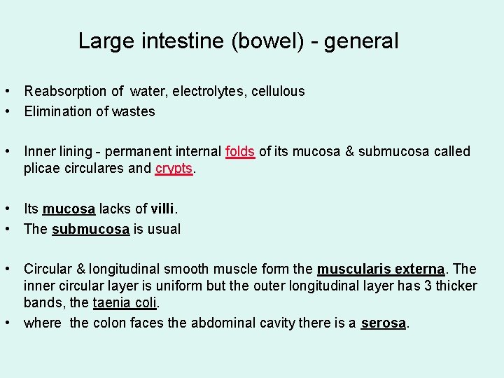 Large intestine (bowel) - general • Reabsorption of water, electrolytes, cellulous • Elimination of
