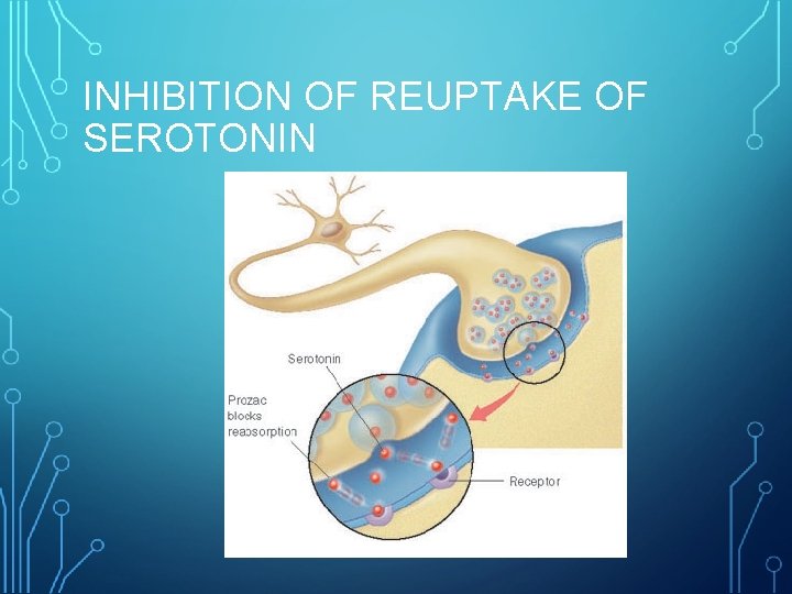 INHIBITION OF REUPTAKE OF SEROTONIN 